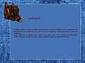 Luca Germena - Cinghiale_00
